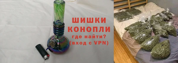 mix Инта
