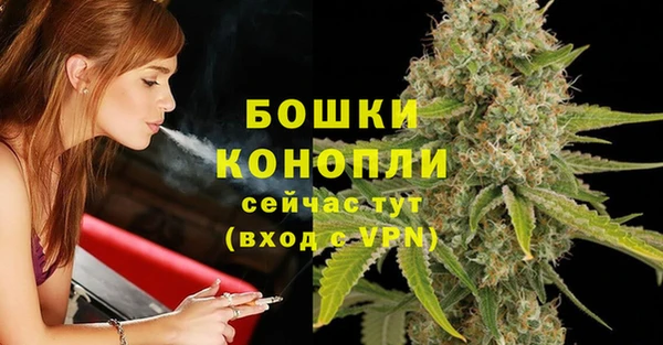 mix Инта