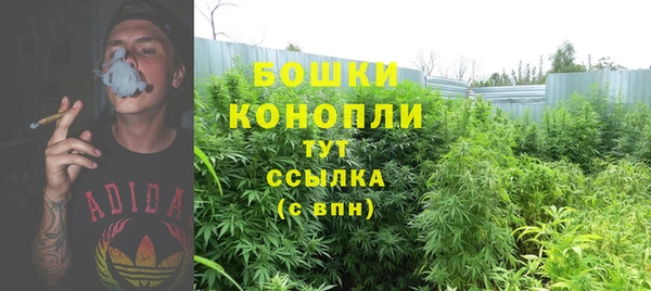 герыч Иннополис