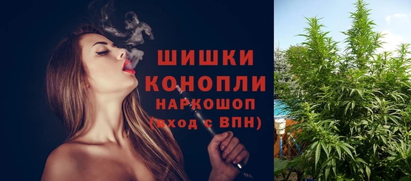 mix Инта