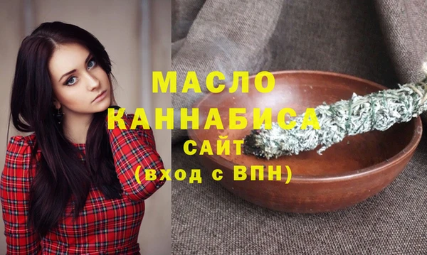 mix Инта