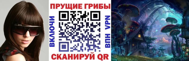 Галлюциногенные грибы Psilocybine cubensis  Купить где  Гурьевск 
